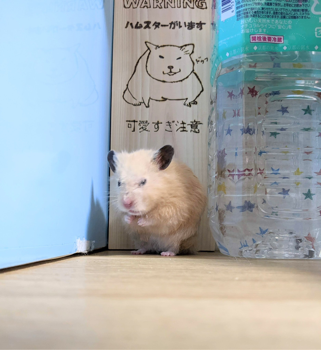 게시글 대표 이미지