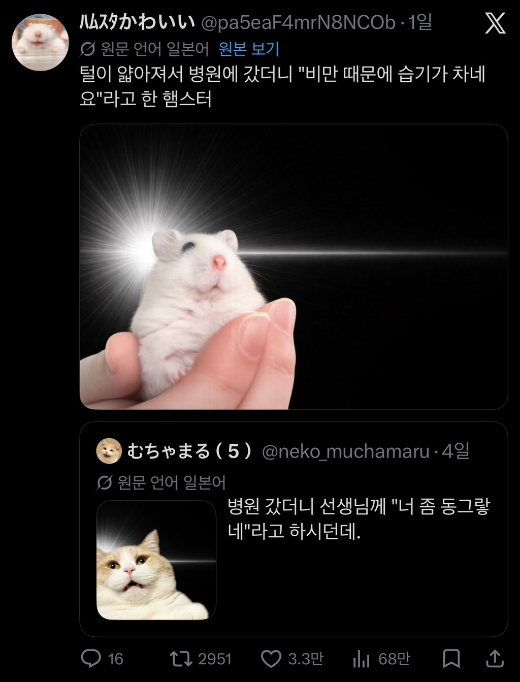 대표이미지