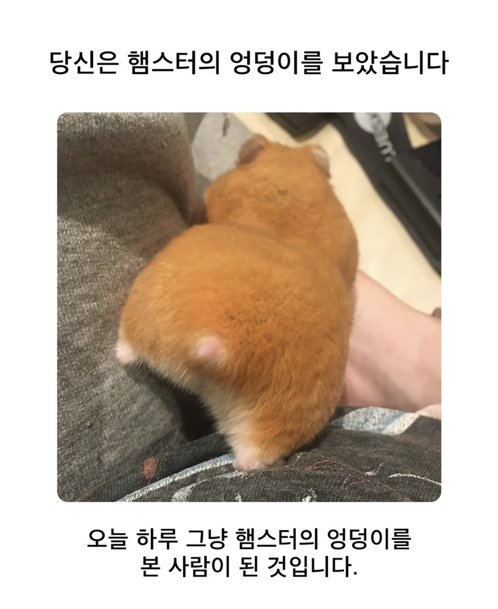 게시글 대표 이미지