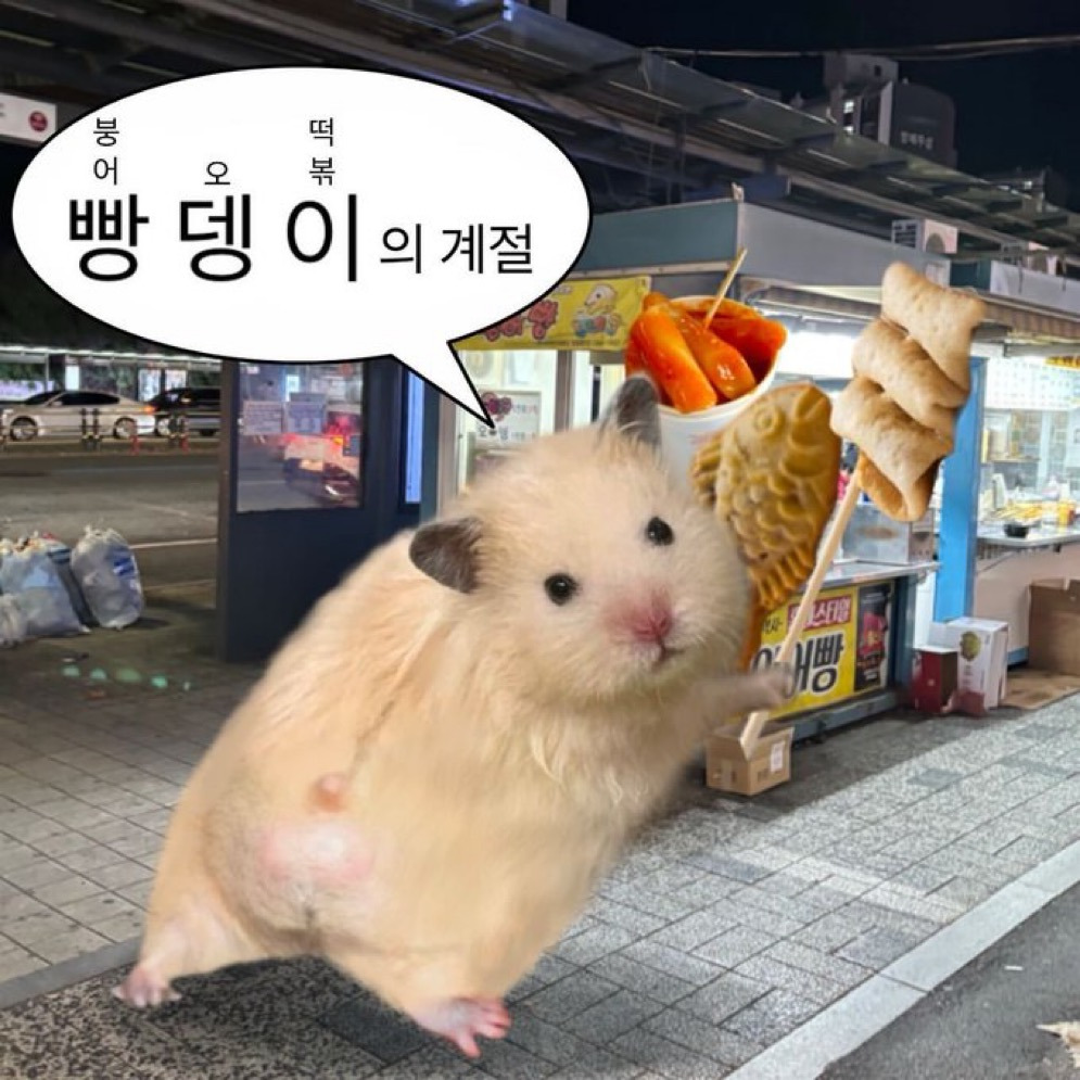 게시글 대표 이미지