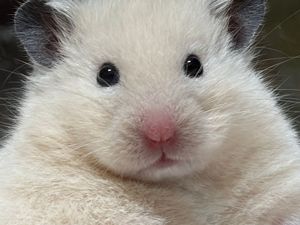 게시글 대표 이미지