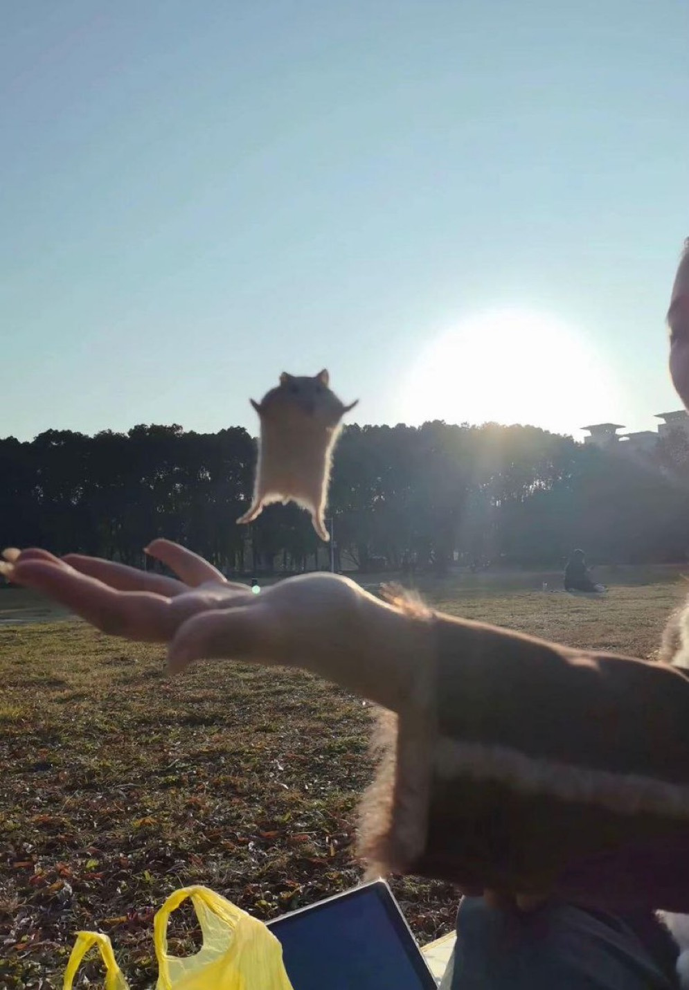 게시글 대표 이미지