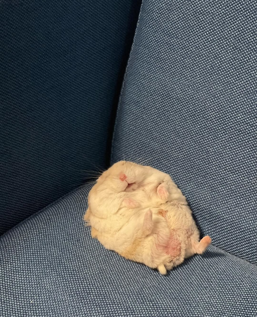 게시글 대표 이미지