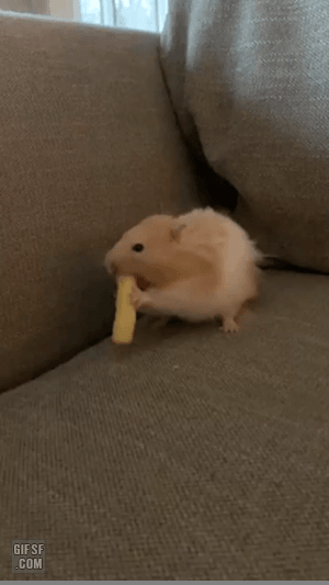 게시글 대표 이미지