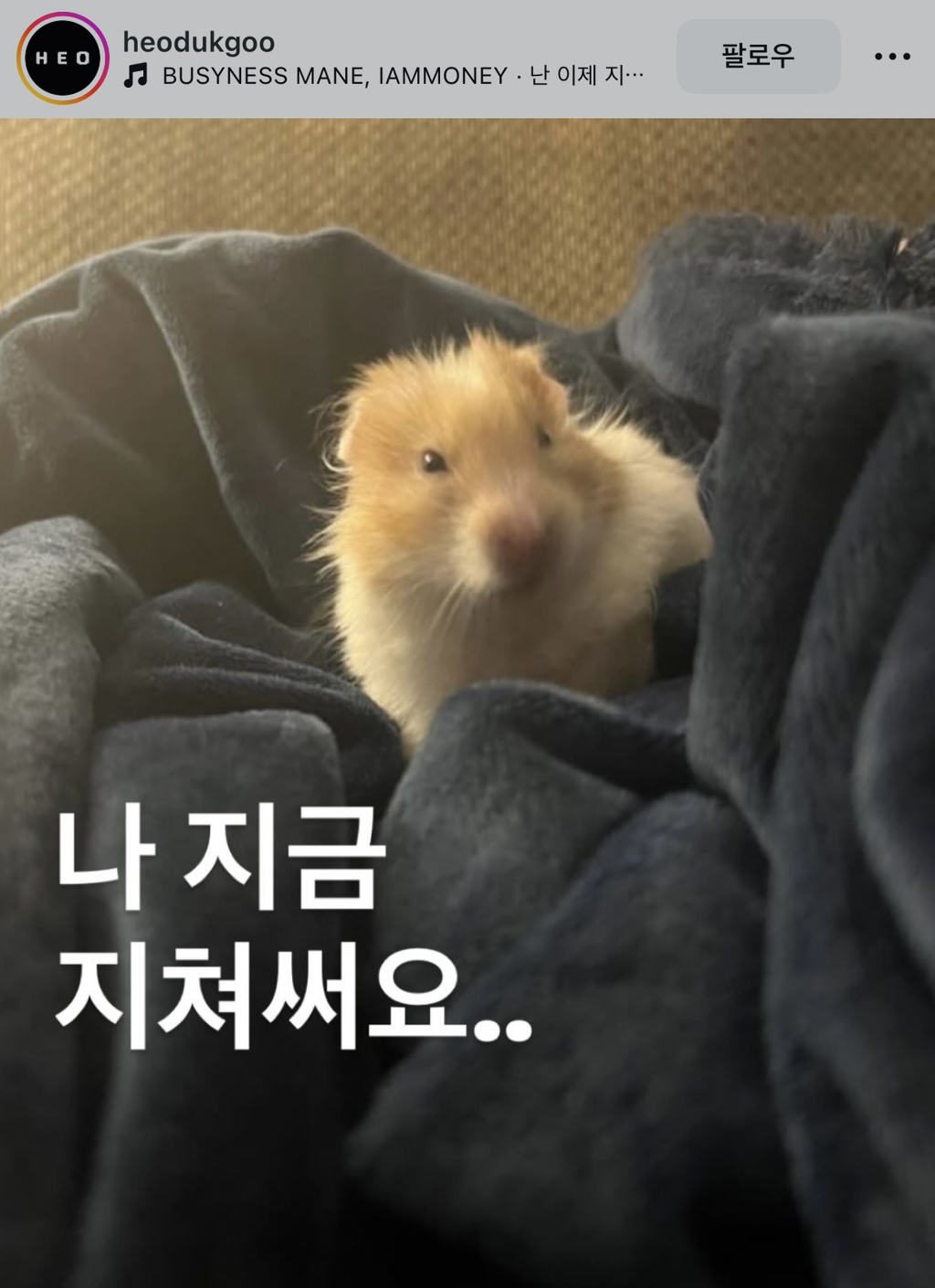 게시글 대표 이미지