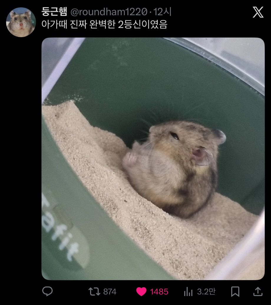 게시글 대표 이미지