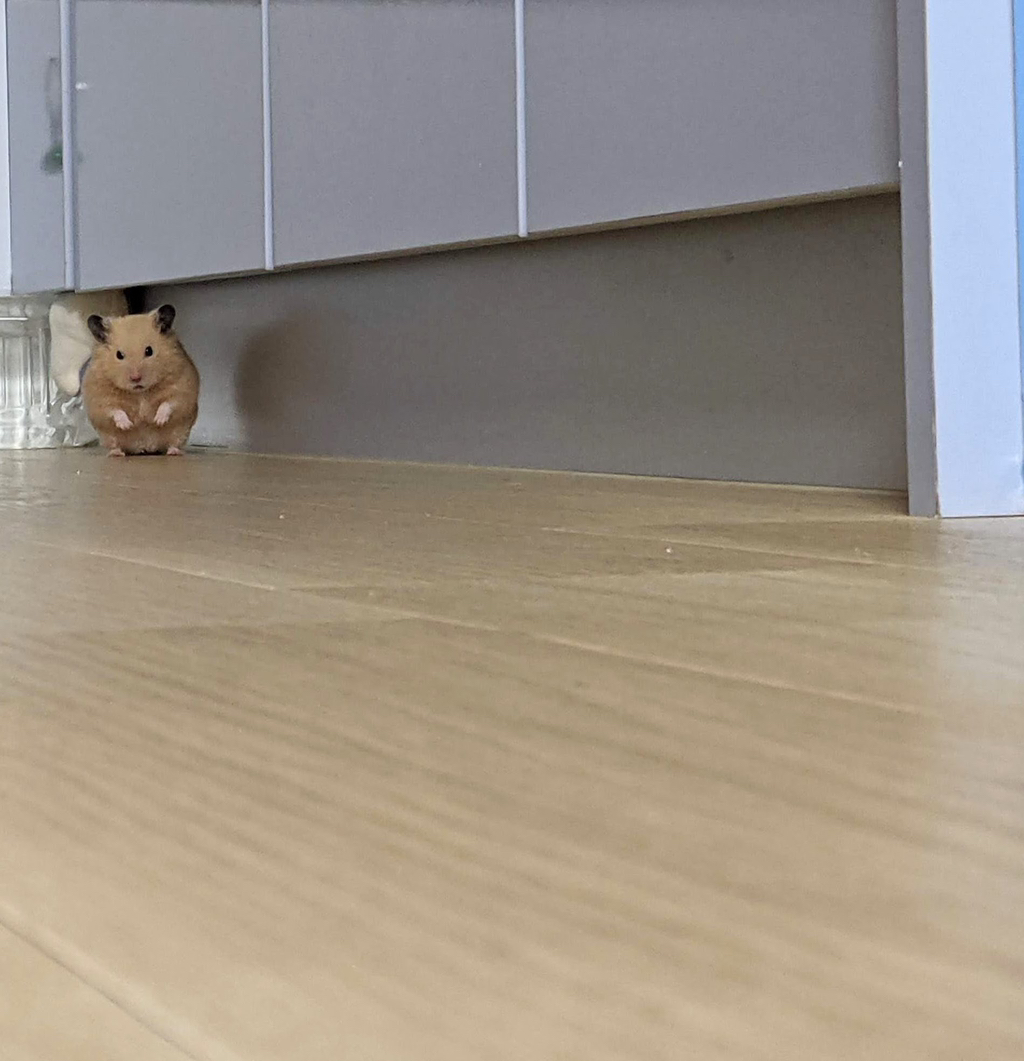 게시글 대표 이미지