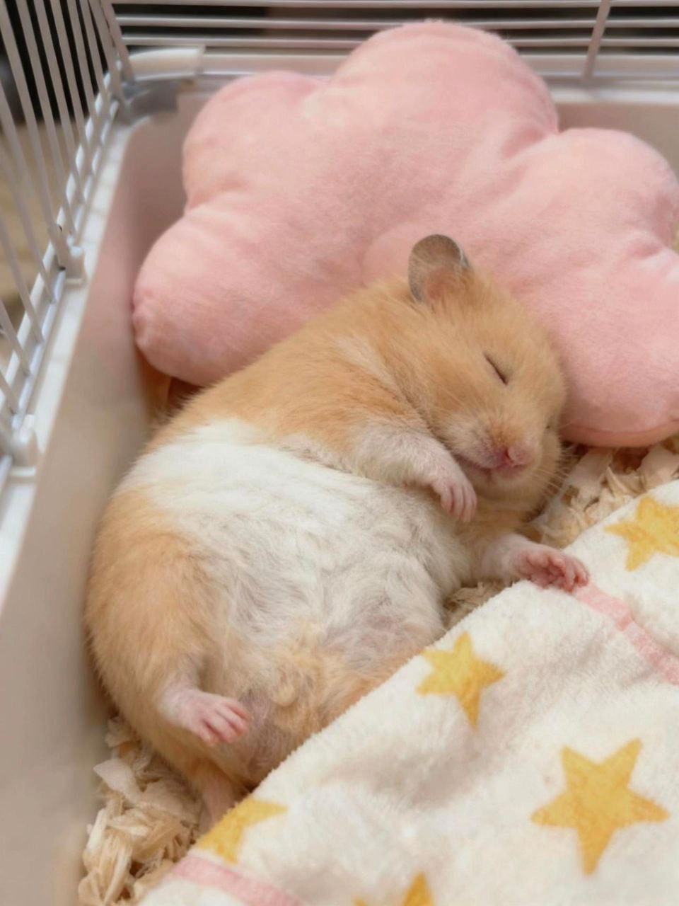 게시글 대표 이미지