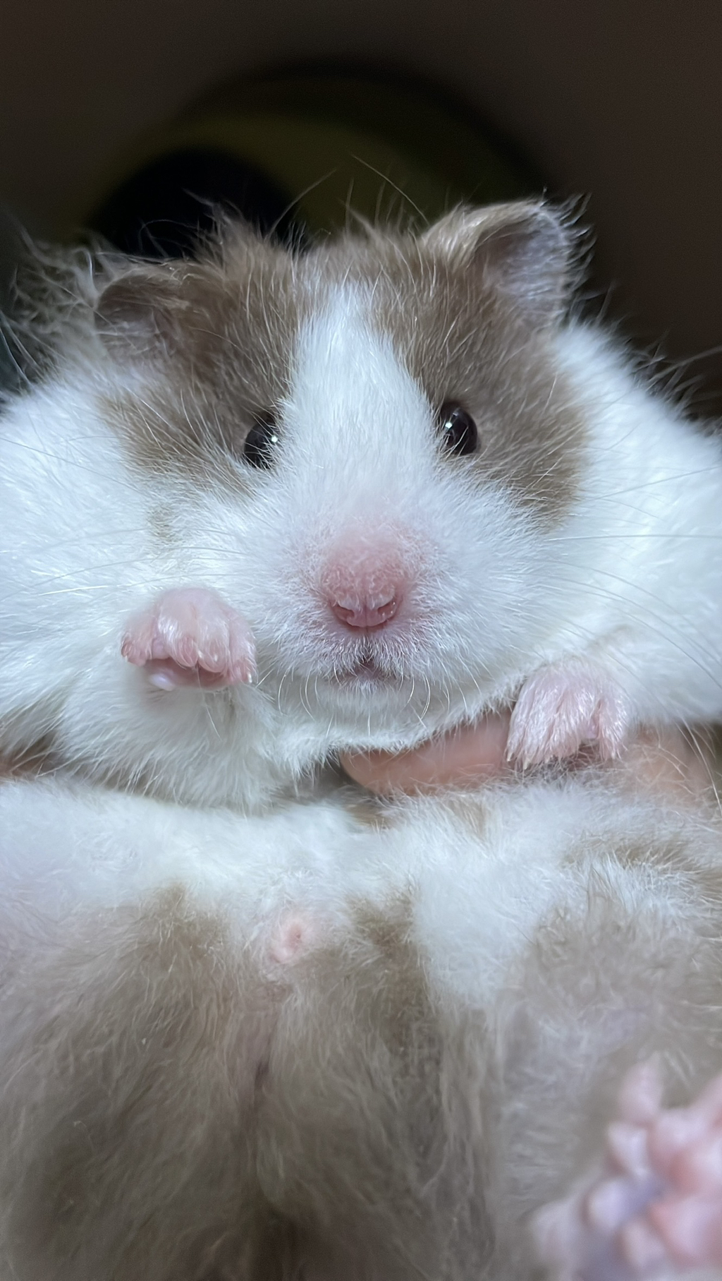 게시글 대표 이미지