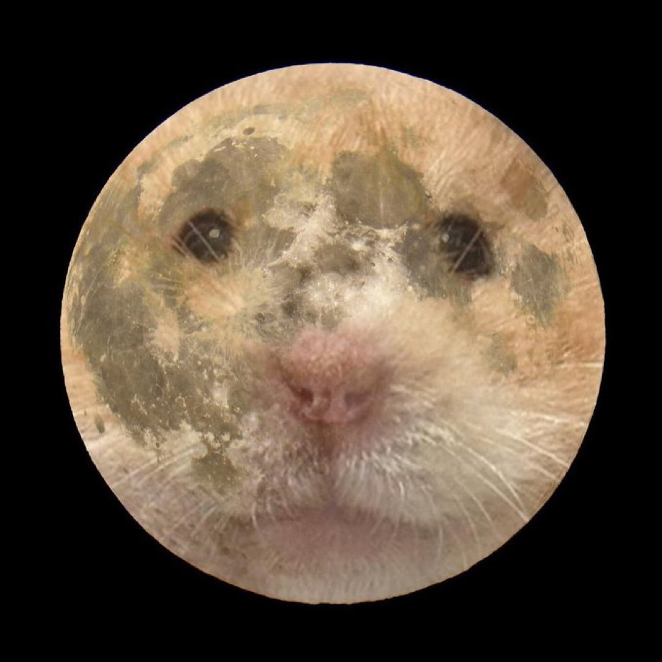 게시글 대표 이미지