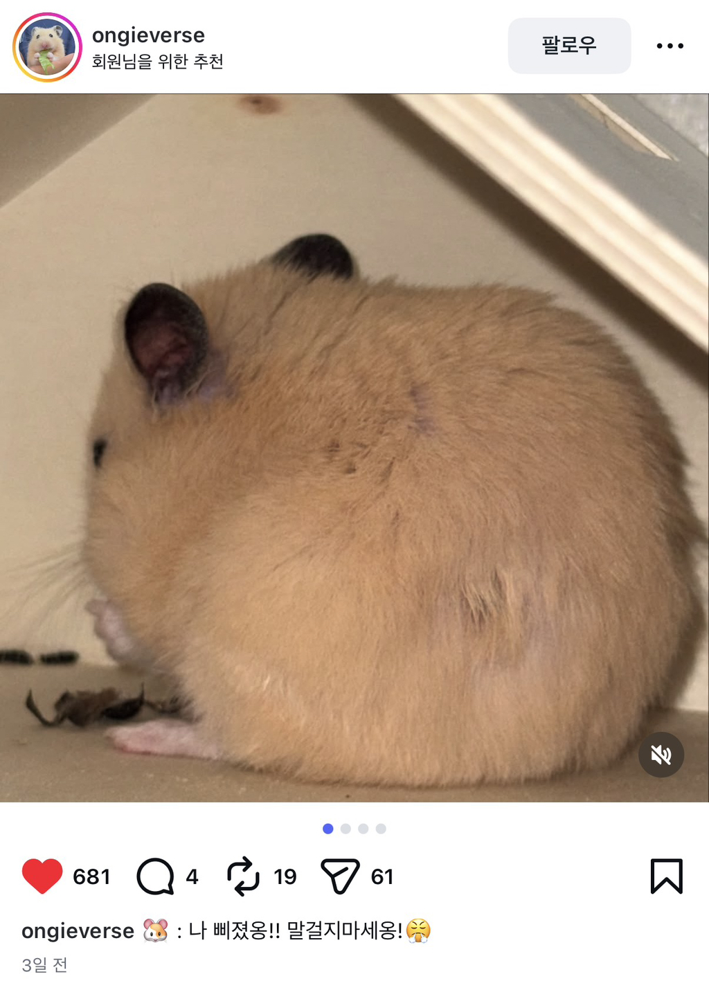 게시글 대표 이미지