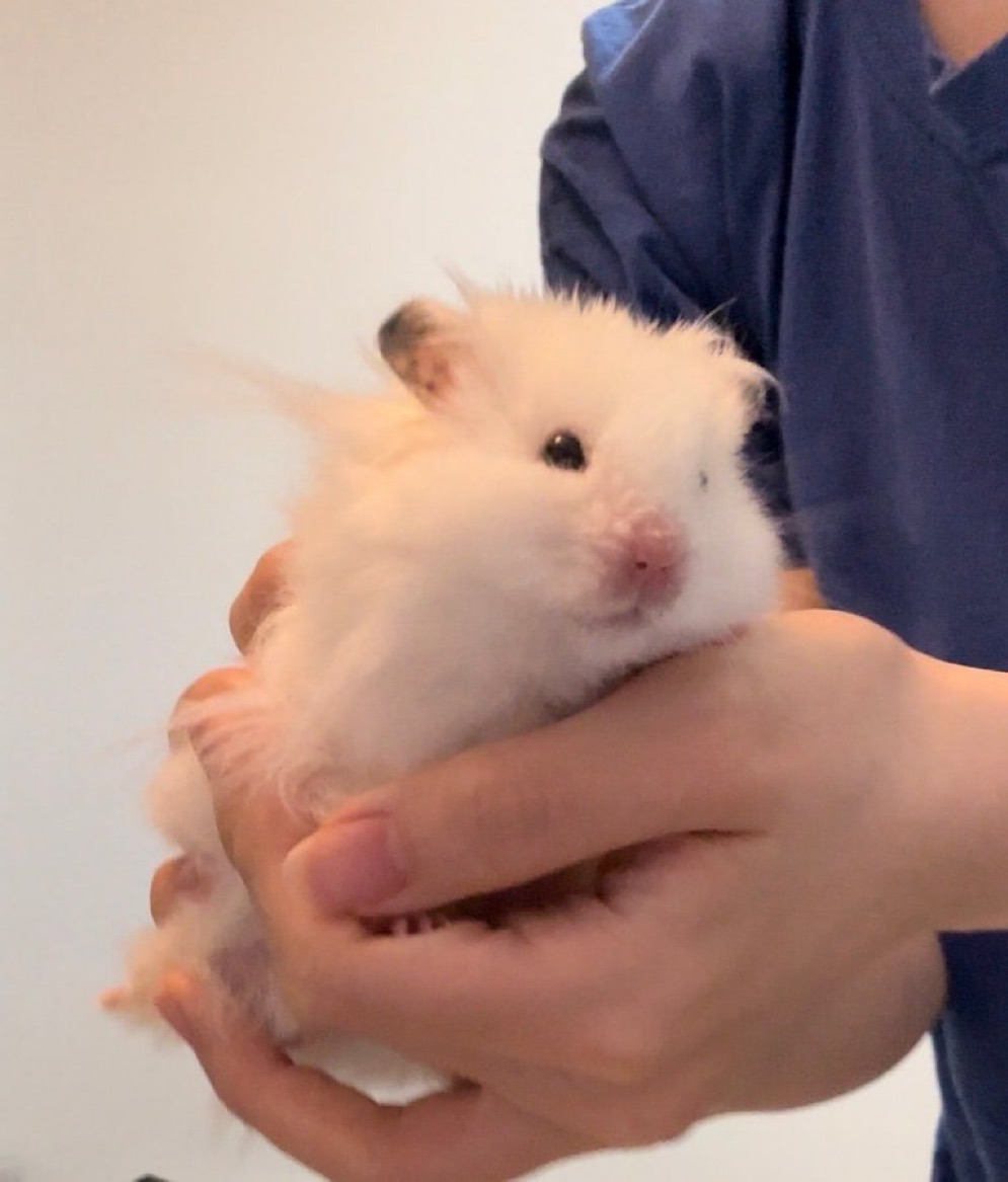 게시글 대표 이미지