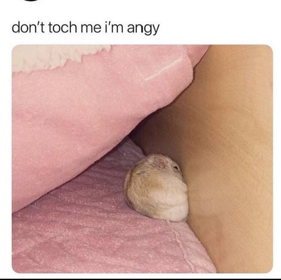 게시글 대표 이미지