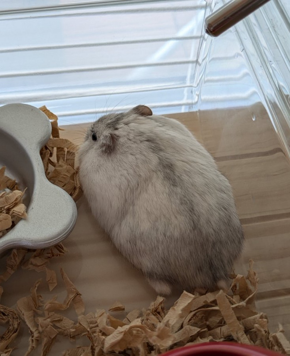 게시글 대표 이미지