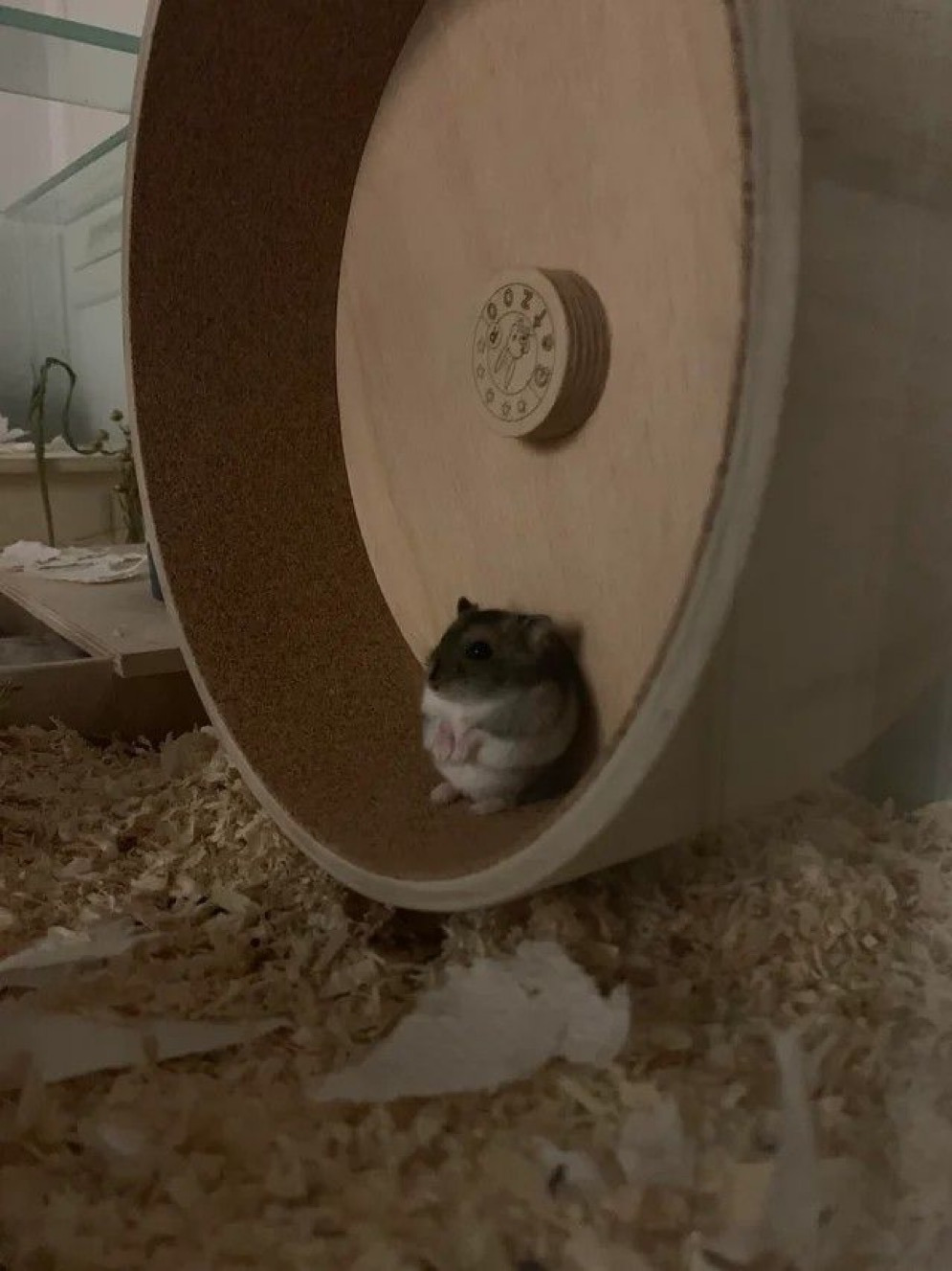 게시글 대표 이미지