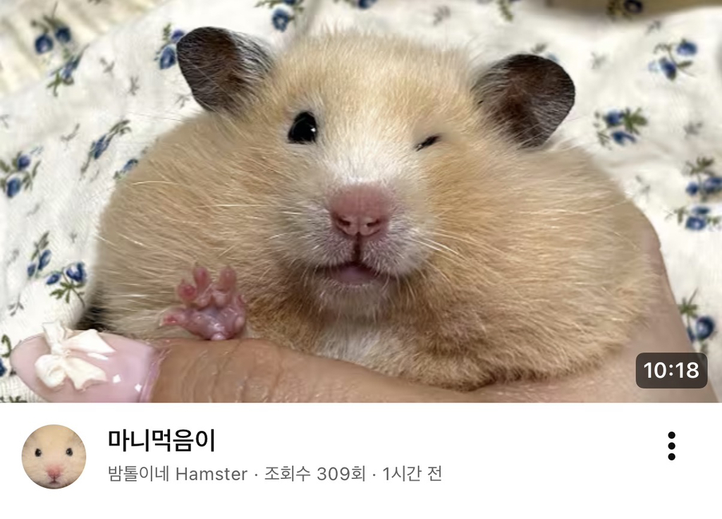 대표이미지
