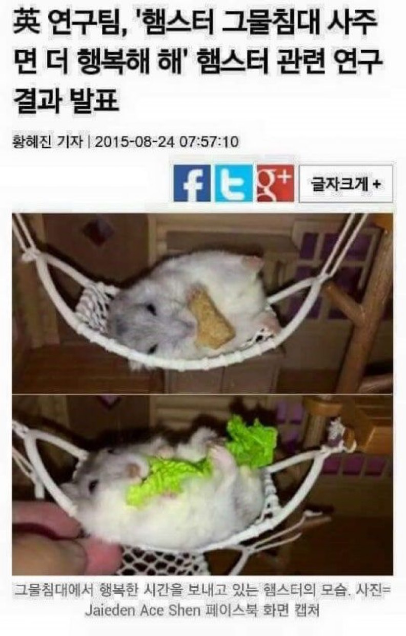 게시글 대표 이미지