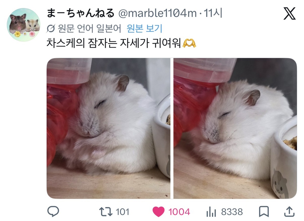 게시글 대표 이미지