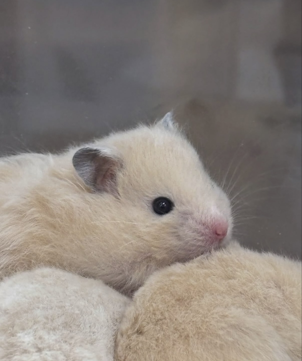 게시글 대표 이미지