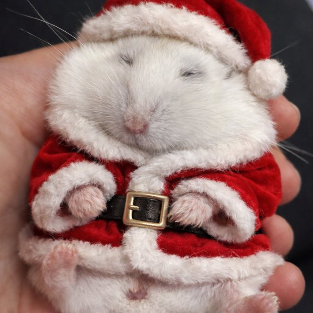 게시글 대표 이미지