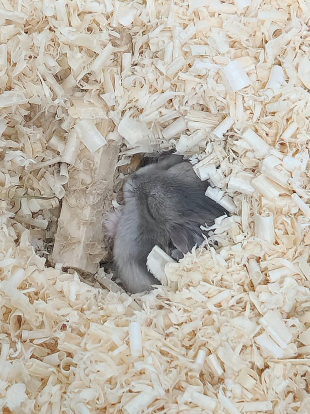 게시글 대표 이미지