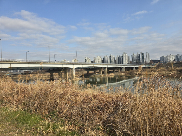 게시글 대표 이미지