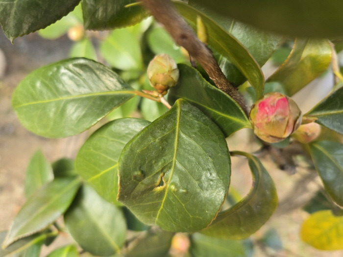 게시글 대표 이미지