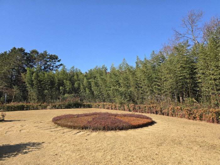 게시글 대표 이미지