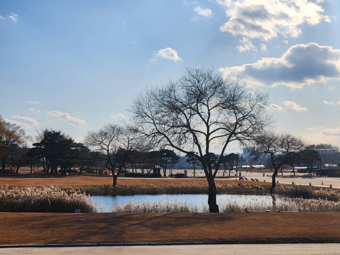 게시글 대표 이미지