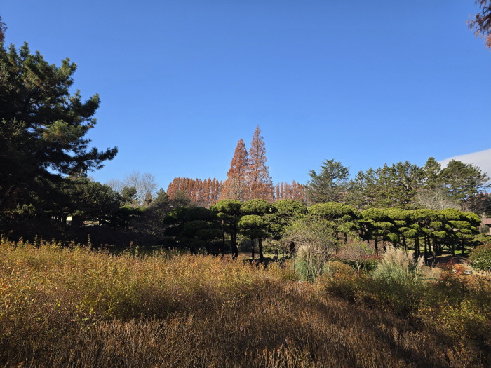 게시글 대표 이미지