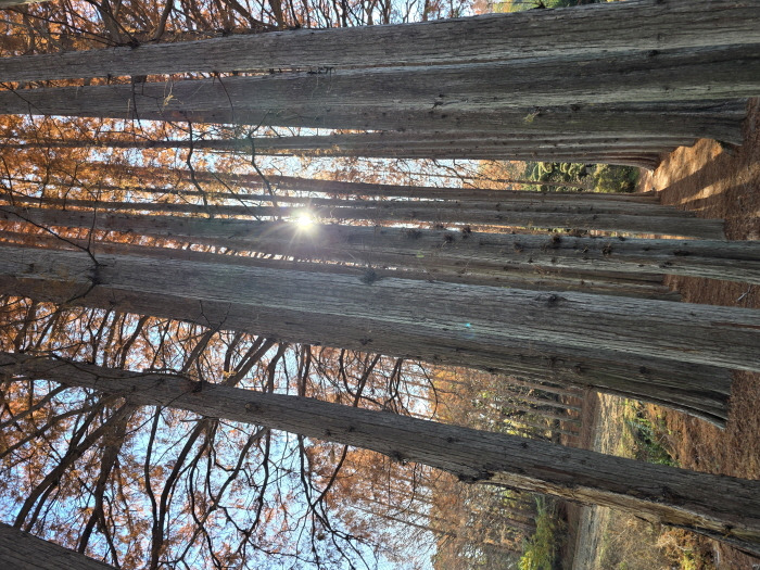 게시글 대표 이미지