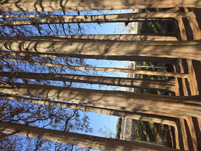 게시글 대표 이미지