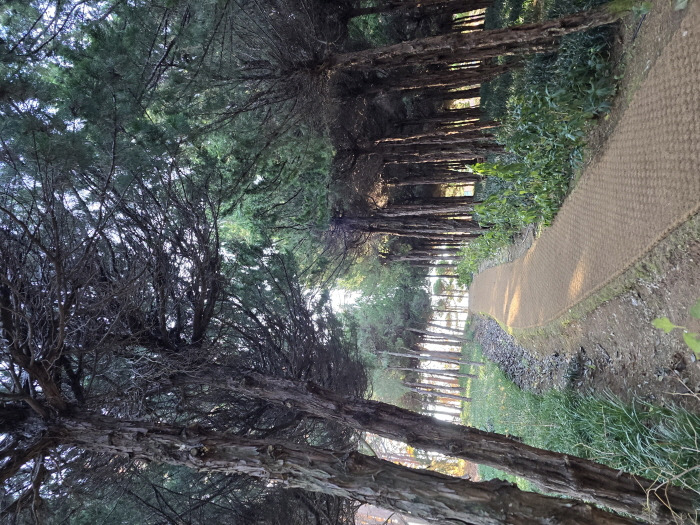 게시글 대표 이미지