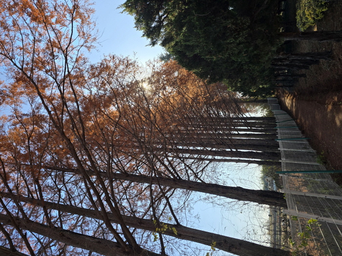 게시글 대표 이미지