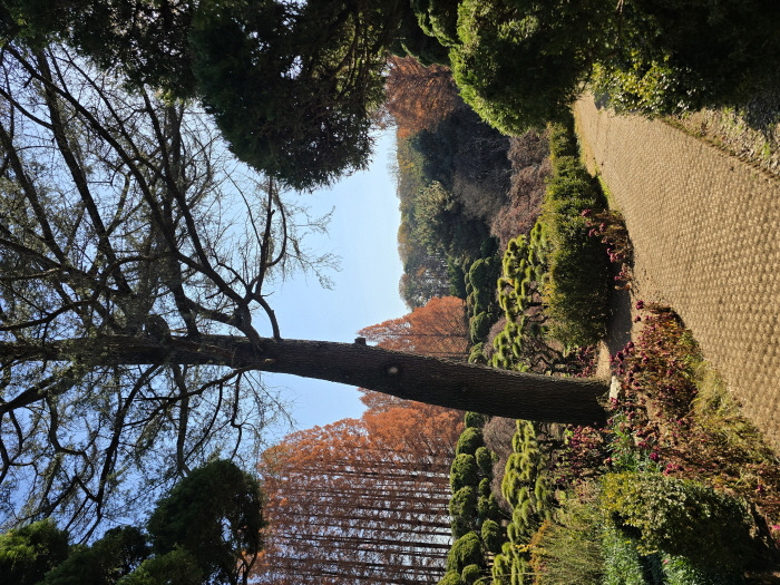 게시글 대표 이미지