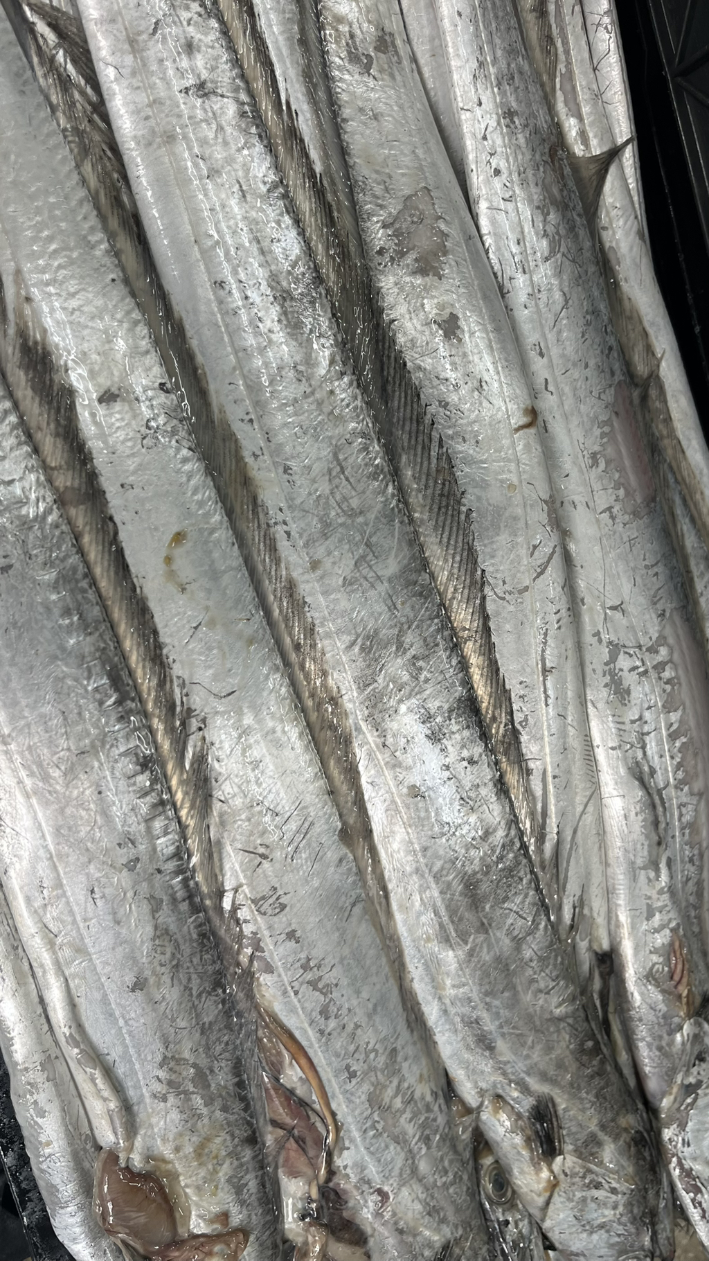 게시글 대표 이미지