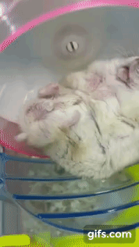 게시글 대표 이미지