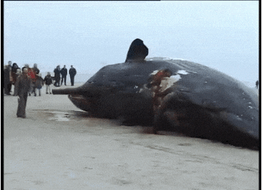 게시글 대표 이미지