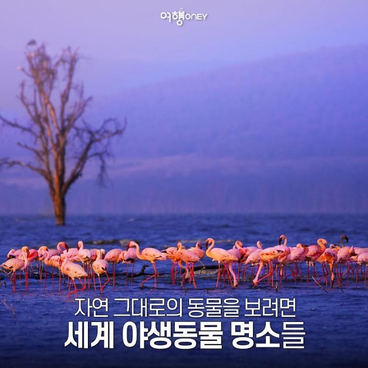 게시글 대표 이미지