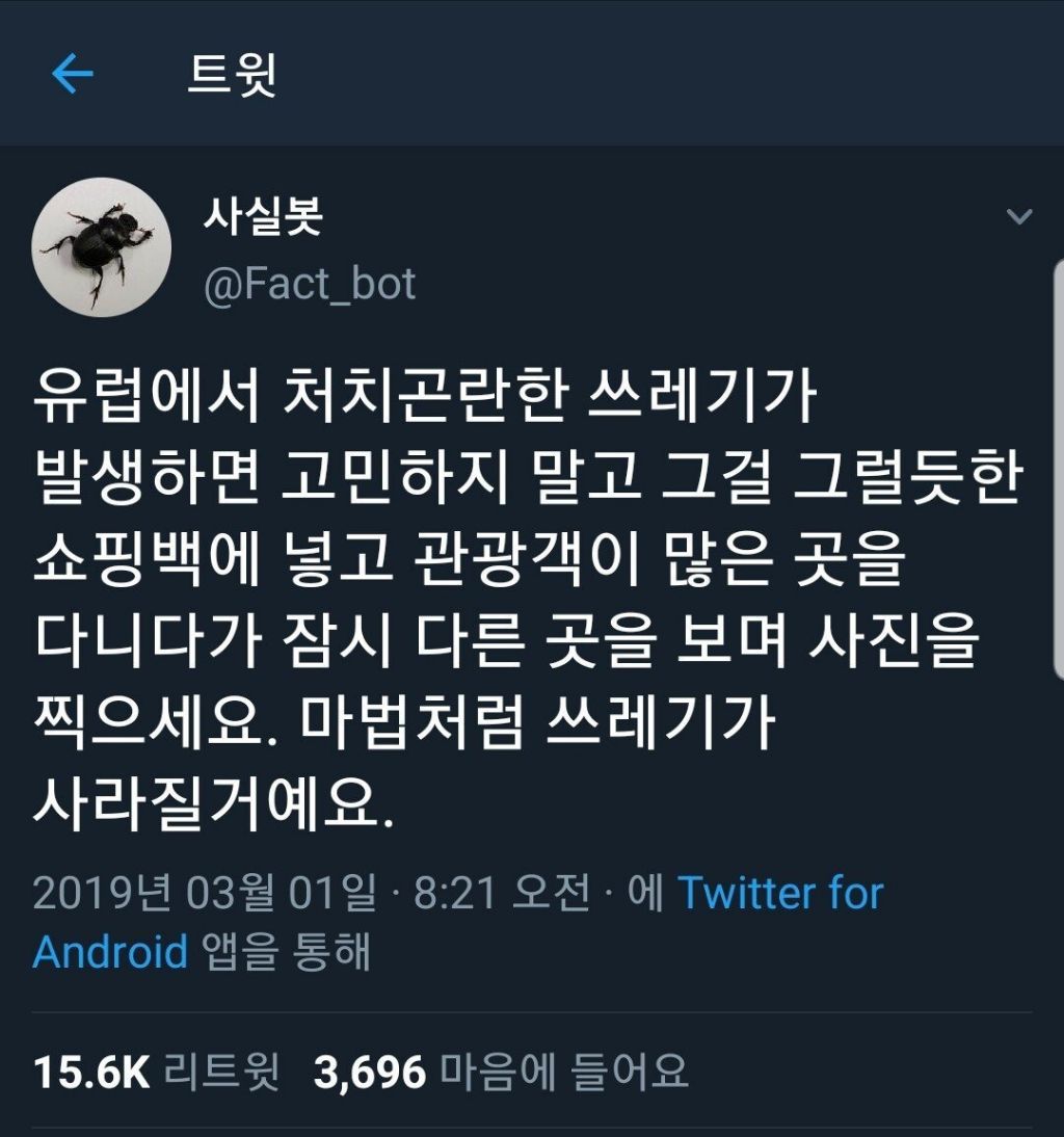 대표이미지