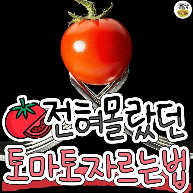 대표이미지