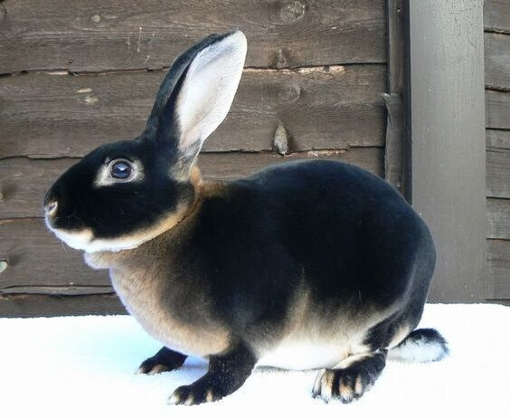 게시글 대표 이미지