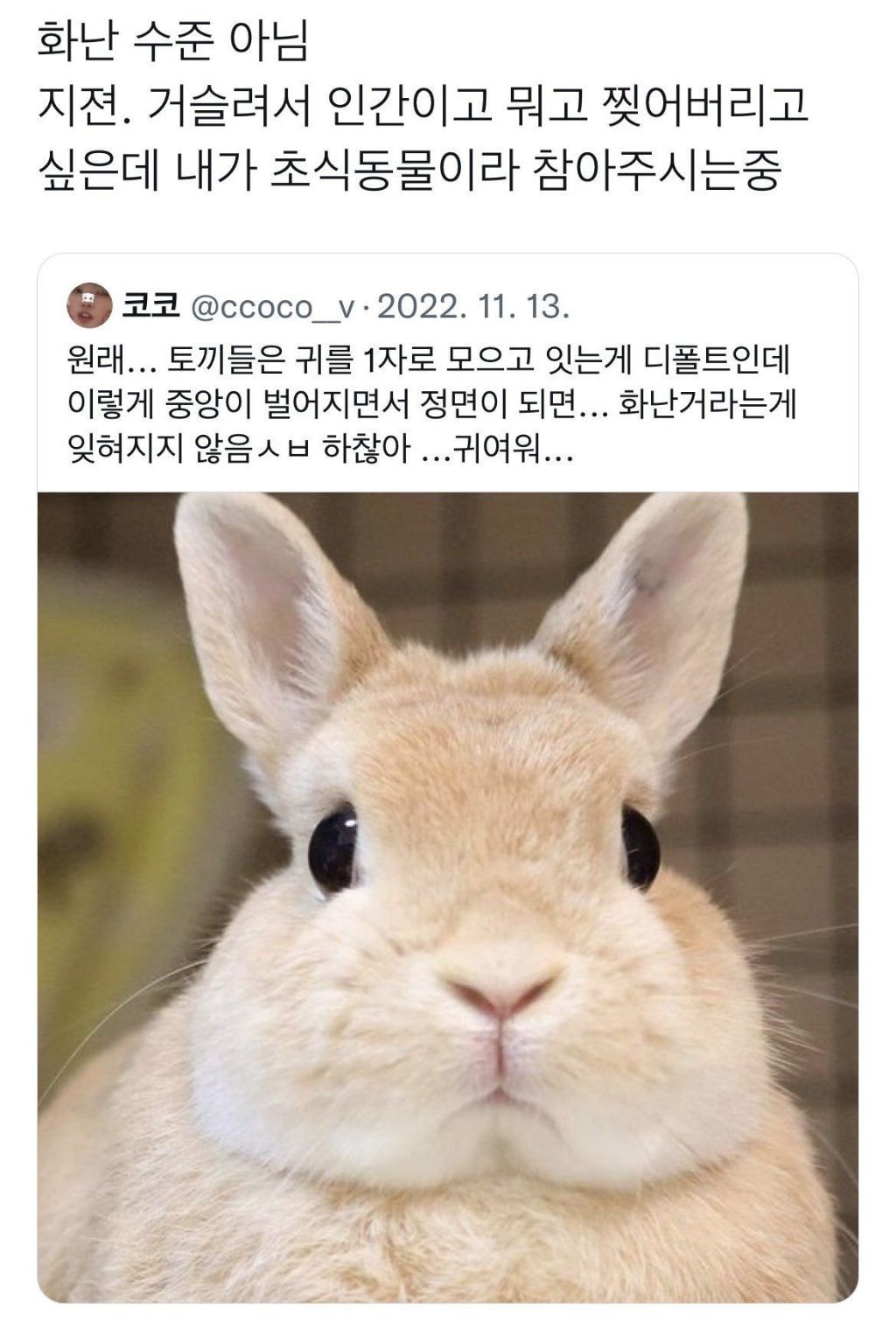 게시글 대표 이미지