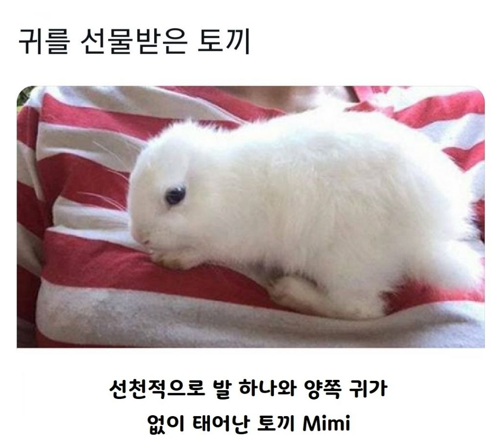 게시글 대표 이미지
