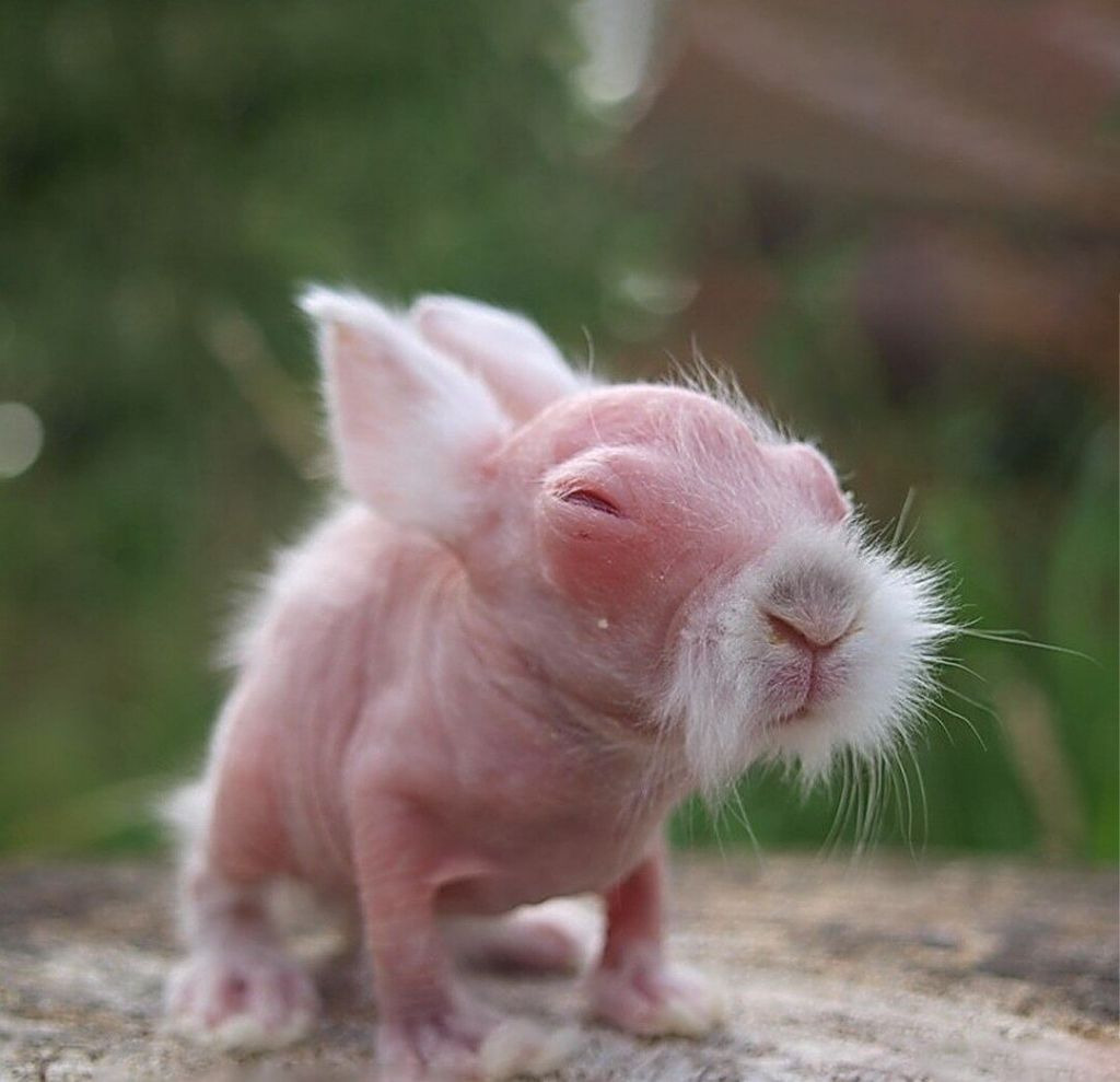 게시글 대표 이미지