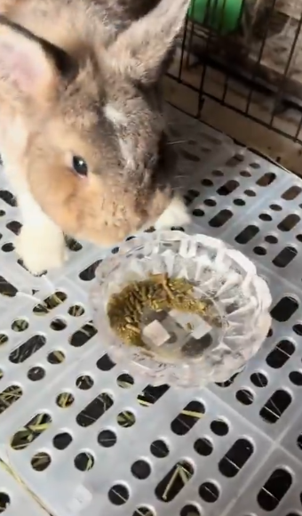 게시글 대표 이미지