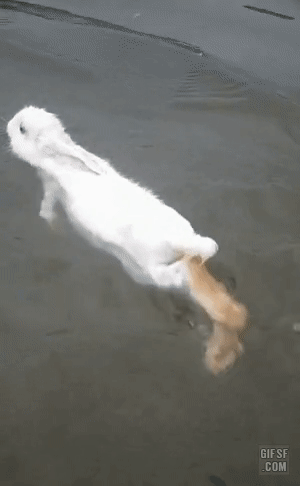 게시글 대표 이미지