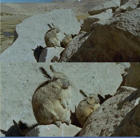 게시글 대표 이미지