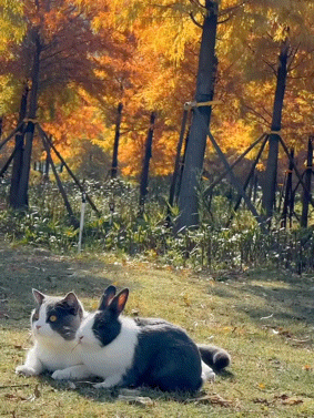 게시글 대표 이미지