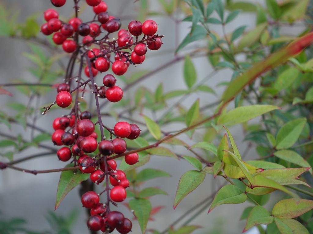 게시글 대표 이미지
